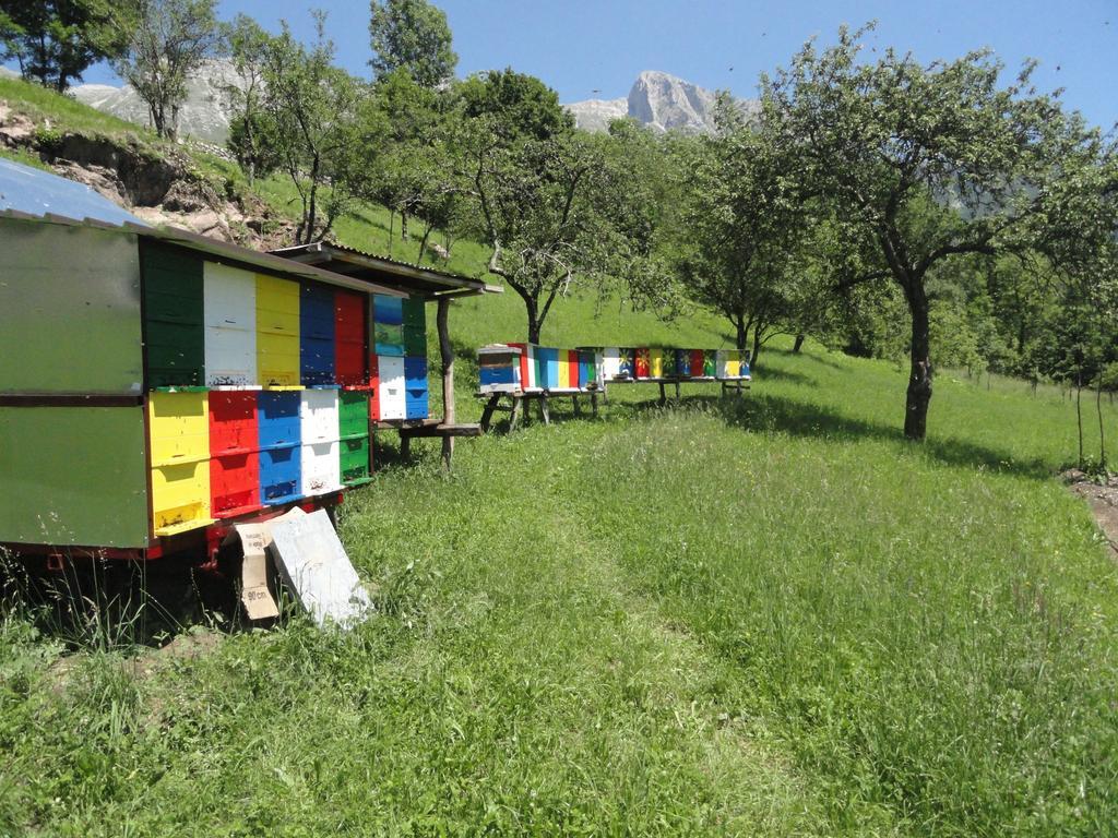 Apartma Skubin Διαμέρισμα Kobarid Δωμάτιο φωτογραφία
